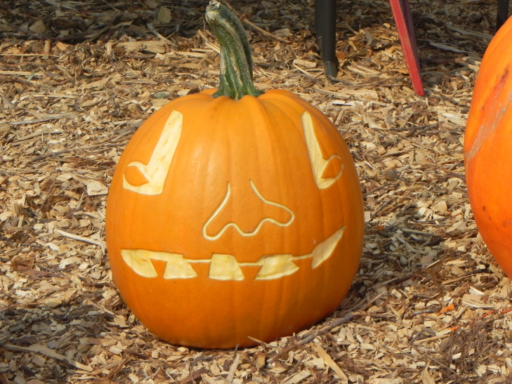 Big Nose, Nipomo Pumpkin Patch best carving idea